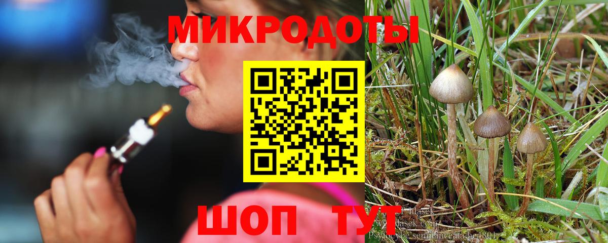 где найти   Вход с VPN  Миллерово  Галлюциногенные грибы Psilocybe  Псилоцибиновые грибы мухоморы 
